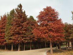 -同里国家湿地公园