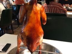 -五稻厨房粤西菜(新闻店)