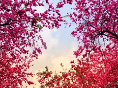 -昆明动物园