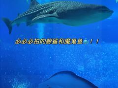 -珠海长隆海洋王国