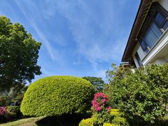 -福建鲤鱼洲酒店