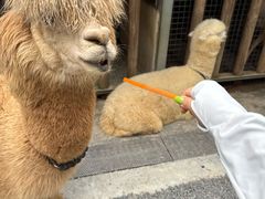 -云栖山谷露营地·团建年会·生日派对