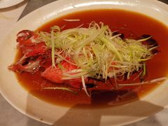 清蒸红瓜子斑鱼-镛记酒家