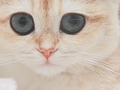 -瑞虹新天地月亮湾