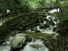 -青峰峡国家森林公园