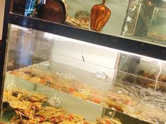 -甄御•海鲜新青岛菜(麦岛店)