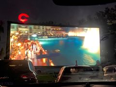 -枫花园汽车电影院(朝阳公园店)