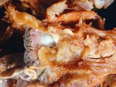 -犟骨头排骨饭(回龙观龙禧店)