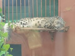 -青藏高原野生动物园