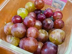 -马陆小张葡萄园农家乐