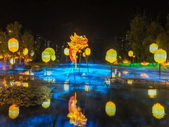 -洋湖国家湿地公园