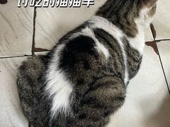 -沙溪兄茶餐厅