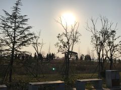 景点-南湖国家城市湿地公园