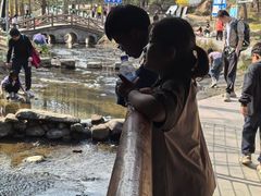 -白水寺森林公园