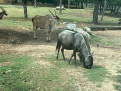-西安秦岭野生动物园