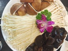 自助鲜菌组合-蜀香居鲜毛肚火锅