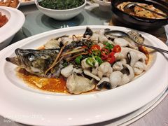 -悦来轩顺德菜(寮厦店)