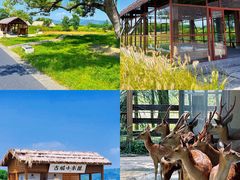 -良渚古城遗址公园