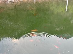-北京凤凰岭