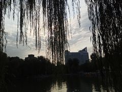 -莲湖公园