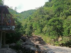 -广州白江湖森林公园