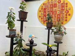 -沈阳植物园