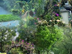 -东莞植物园