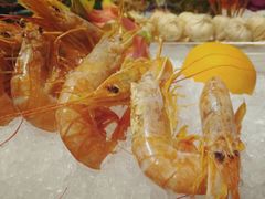 -长春高新益田福朋喜来登酒店·宜客乐标帜餐厅