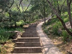 -北京十三陵国家森林公园蟒山景区