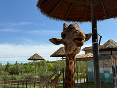 -鄂尔多斯野生动物园