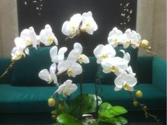 iphone_upload_pic-亭亭鲜花店(中山北路店)
