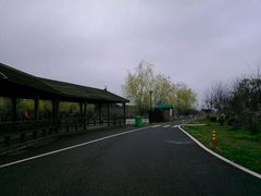 android_upload_pic-太丰生态园