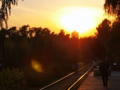 -永定河休闲森林公园