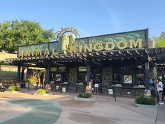 -奥兰多迪士尼动物王国乐园