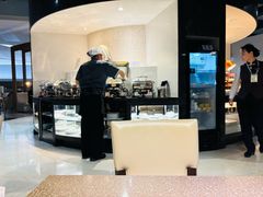 -虹桥机场国航贵宾室v8