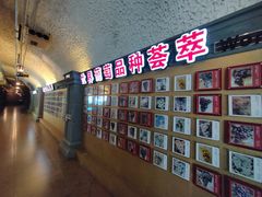 -青岛葡萄酒博物馆