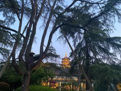 -浙江西子宾馆·瑶园咖啡厅