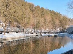 -白水寺森林公园