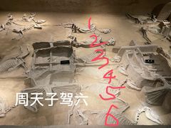 -洛阳周王城天子驾六博物馆