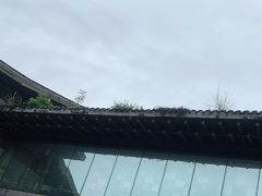 -都江堰中华大熊猫苑