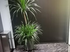 -宫燕府·京菜·烤鸭·淮扬菜(王府中心店)