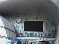 -烟台海昌鲸鲨海洋公园