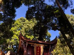 -都江堰普照寺