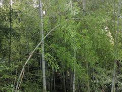 -东山风景区(洞庭东山)