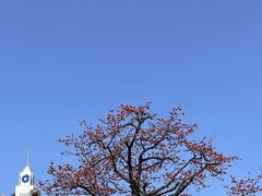 -烈士陵园(地铁站)