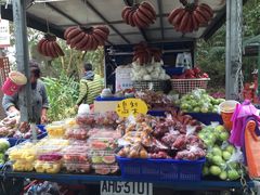 -金盆阿嬷香菇茶叶蛋(玄光店)