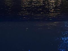 -闽江夜游台江旅游码头