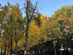 -苏州河梦清园环保主题公园