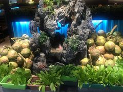 -东椰·海南椰子鸡火锅(朝阳门店)