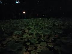 -人民公园-相亲角